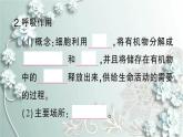 人教版生物七年级上册 第二节 绿色植物的呼吸作用 课件
