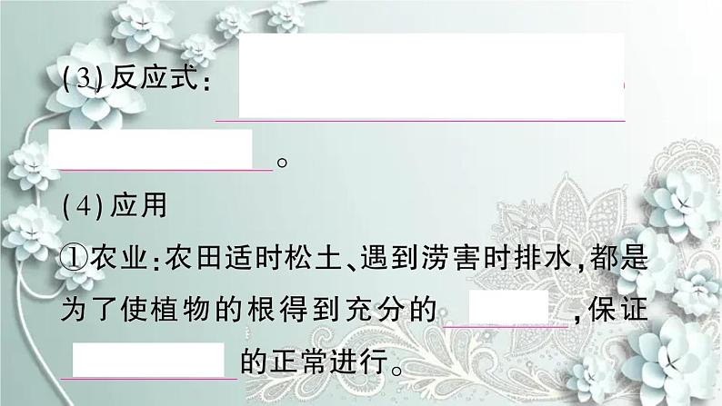 人教版生物七年级上册 第二节 绿色植物的呼吸作用 课件05