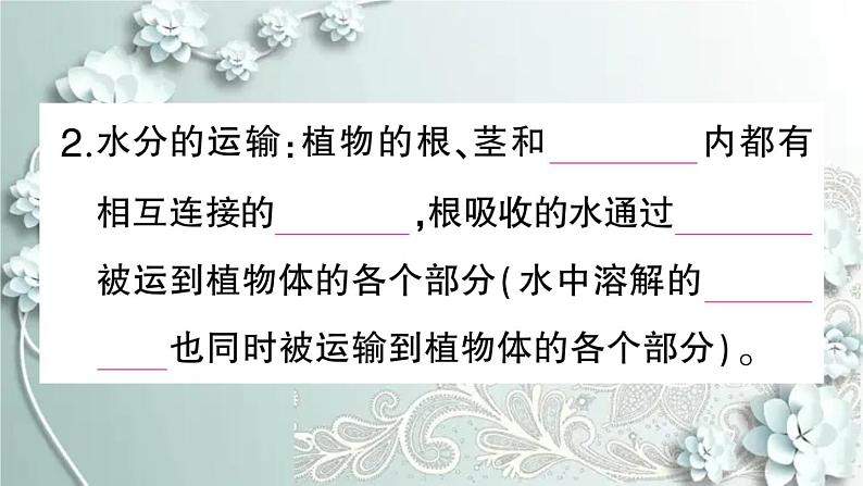 人教版生物七年级上册 第三章 绿色植物与生物圈的水循环 课件03