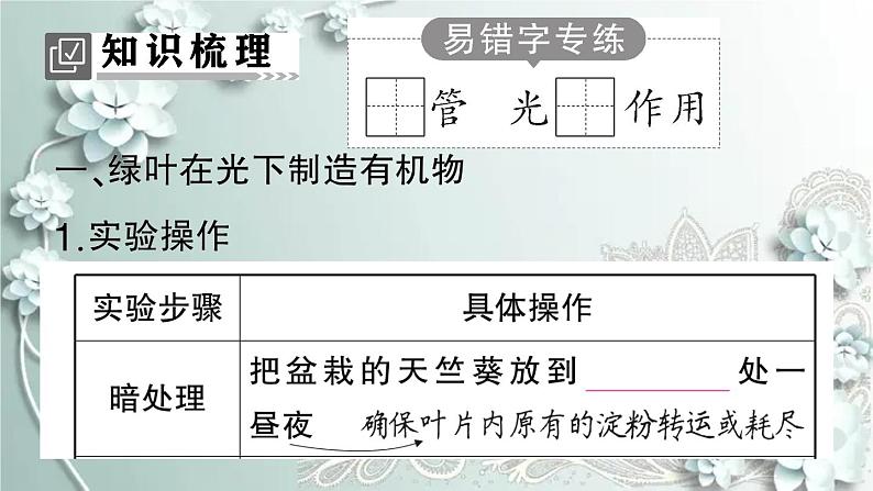 人教版生物七年级上册 第四章 绿色植物是生物圈中有机物的制造者 课件02