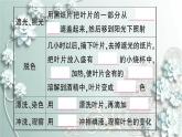 人教版生物七年级上册 第四章 绿色植物是生物圈中有机物的制造者 课件