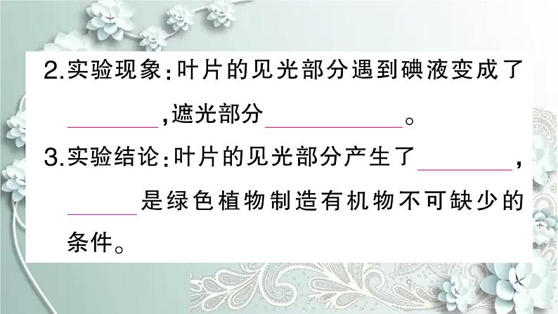 人教版生物七年级上册 第四章 绿色植物是生物圈中有机物的制造者 课件04