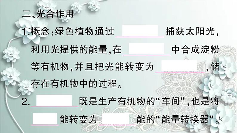 人教版生物七年级上册 第四章 绿色植物是生物圈中有机物的制造者 课件05