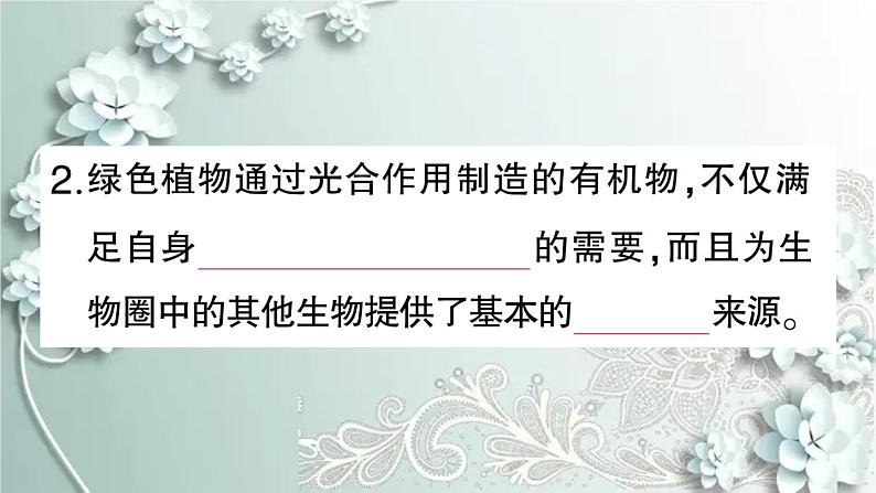 人教版生物七年级上册 第四章 绿色植物是生物圈中有机物的制造者 课件08