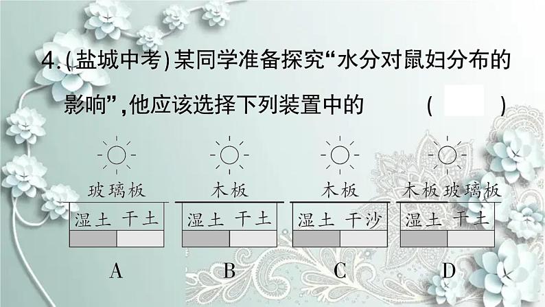 人教版生物七年级上册 微专题一 科学探究 课件05