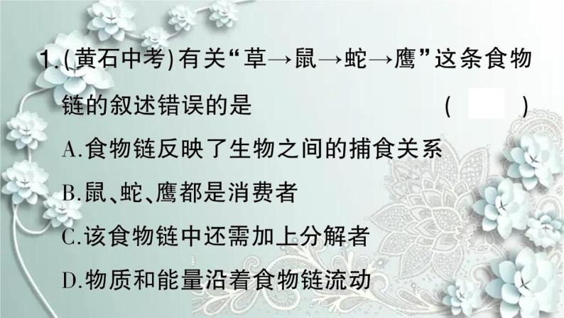 人教版生物七年级上册 微专题二 食物链和食物网 课件02