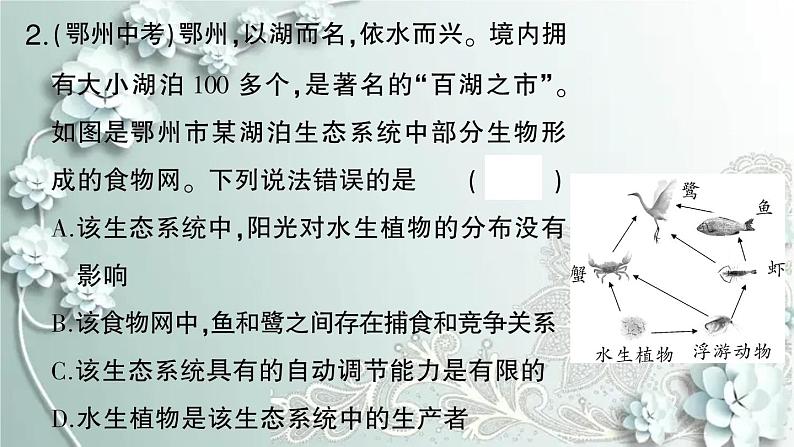 人教版生物七年级上册 微专题二 食物链和食物网 课件第3页