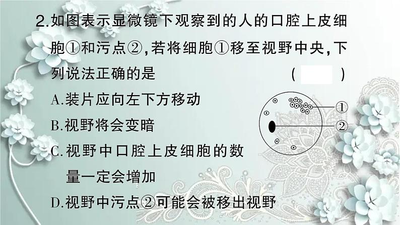 人教版生物七年级上册 微专题三 显微镜与细胞 课件04