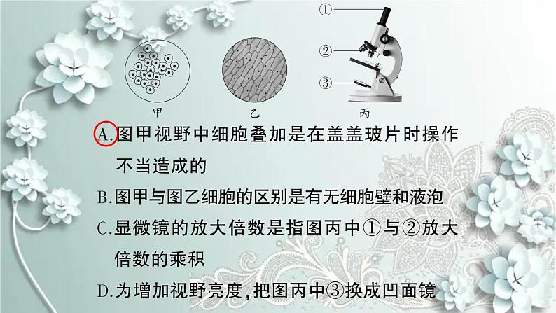 人教版生物七年级上册 微专题三 显微镜与细胞 课件06