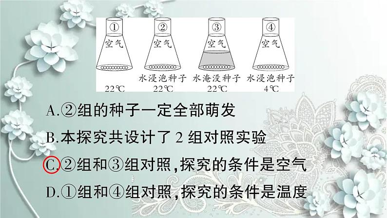 人教版生物七年级上册 微专题四 被子植物的一生 课件03