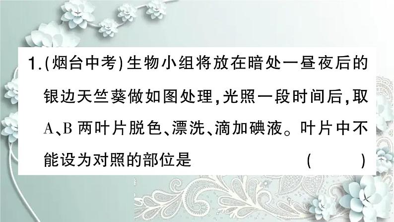 人教版生物七年级上册 微专题六 三大生理作用有关的实验探究 课件第2页