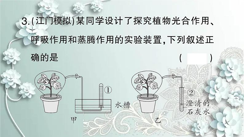 人教版生物七年级上册 微专题六 三大生理作用有关的实验探究 课件第6页