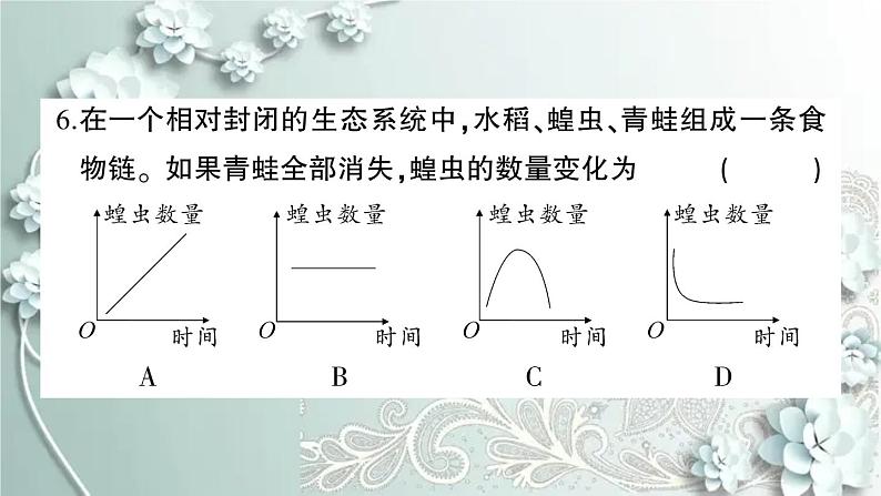 人教版生物七年级上册 期中综合检测卷 课件07