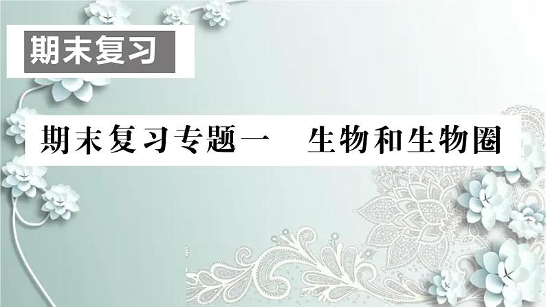 人教版生物七年级上册 期末复习专题一 生物和生物圈 课件第1页