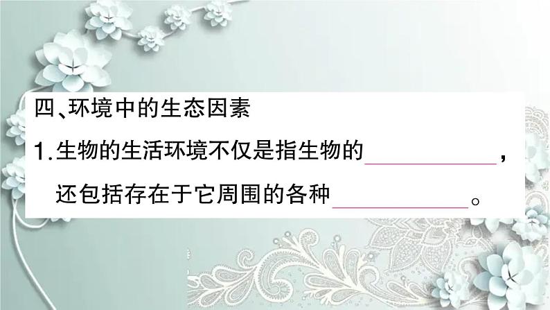 人教版生物七年级上册 期末复习专题一 生物和生物圈 课件第8页