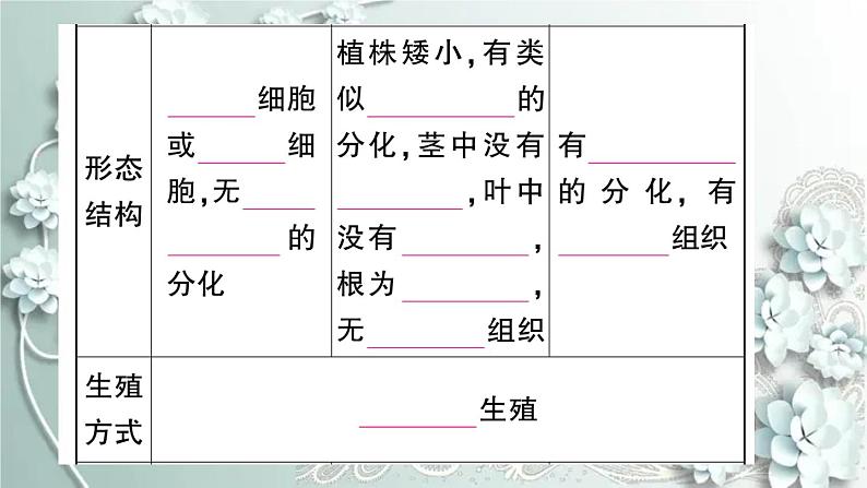 人教版生物七年级上册 期末复习专题三 植物类群和被子植物的一生 课件第3页