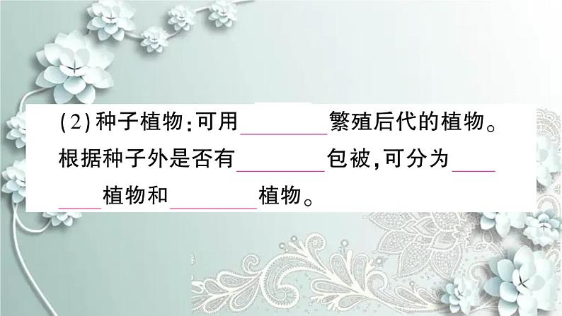 人教版生物七年级上册 期末复习专题三 植物类群和被子植物的一生 课件第7页