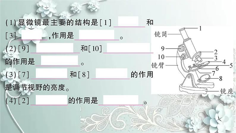 人教版生物七年级上册 期末复习专题二 生物体的结构层次 课件03