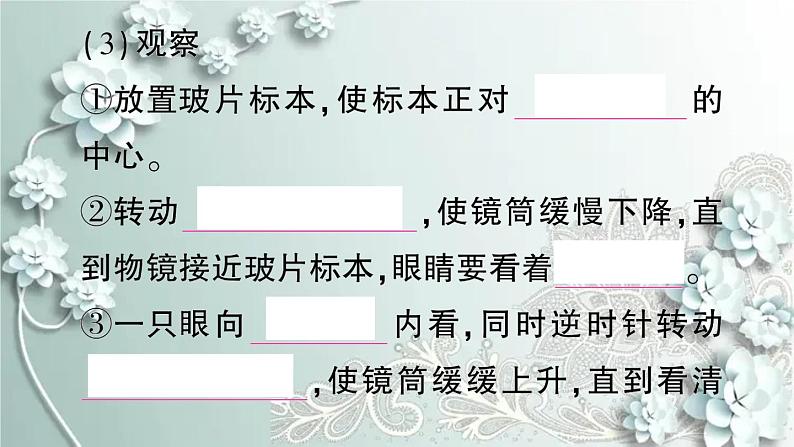 人教版生物七年级上册 期末复习专题二 生物体的结构层次 课件06