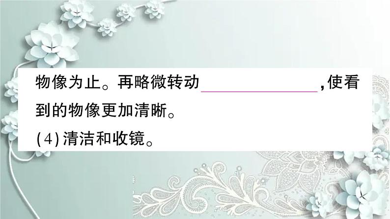 人教版生物七年级上册 期末复习专题二 生物体的结构层次 课件07