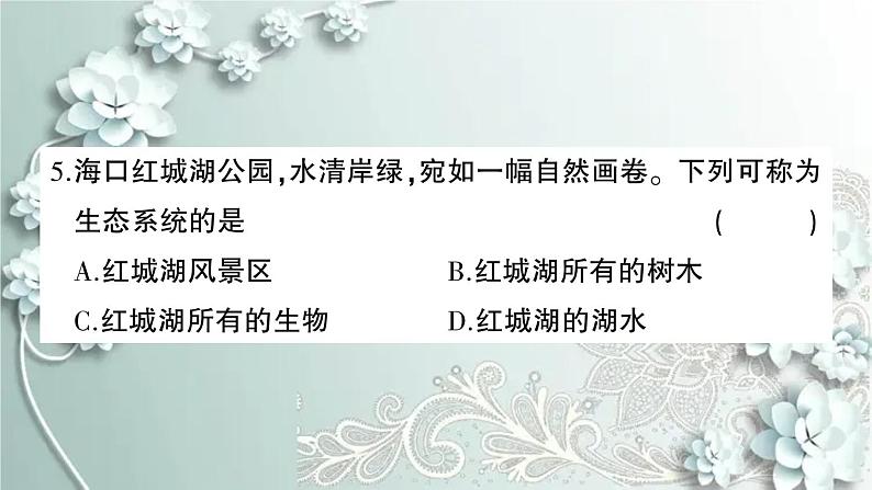 人教版生物七年级上册 期末综合检测卷 课件05