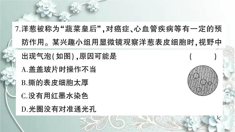 人教版生物七年级上册 期末综合检测卷 课件07