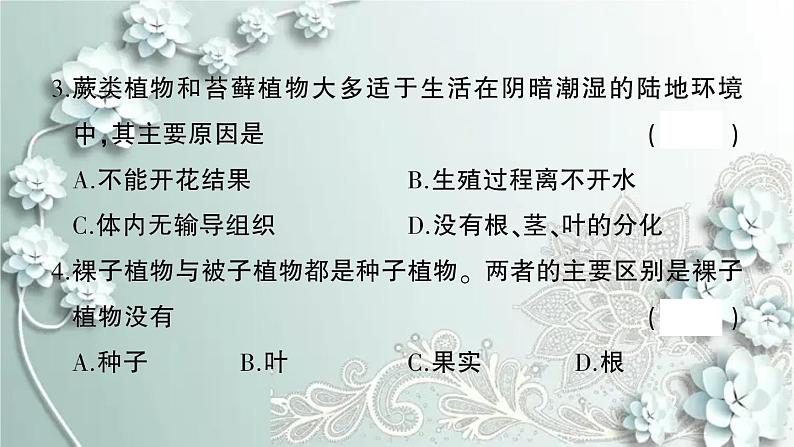 人教版生物七年级上册 第三单元第一、二章综合训练 课件第4页