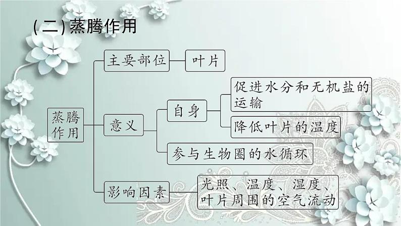 人教版生物七年级上册 第三单元第三~六章总结训练 课件第4页