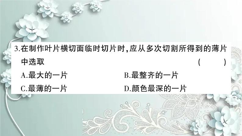 人教版生物七年级上册 第三单元第三~六章综合训练 课件03