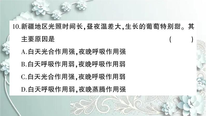 人教版生物七年级上册 第三单元第三~六章综合训练 课件08