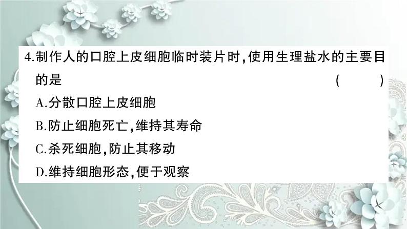 人教版生物七年级上册 第二单元第一、二章综合训练 课件第4页