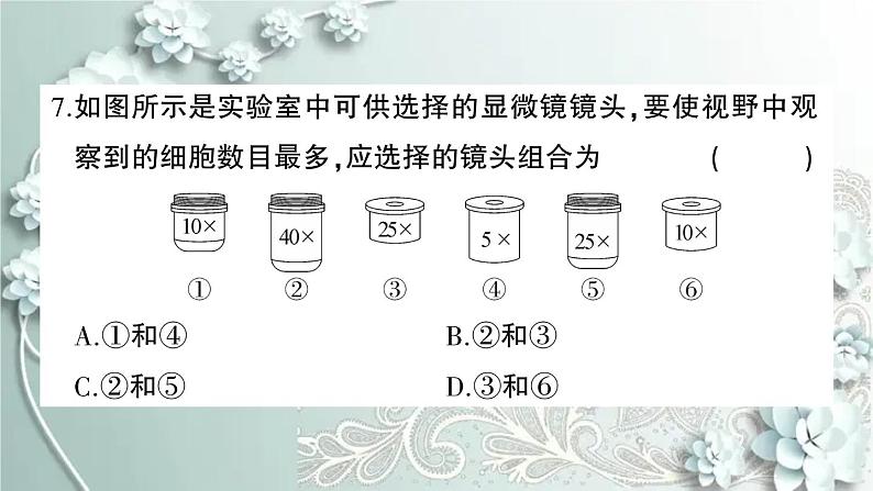 人教版生物七年级上册 第二单元第一、二章综合训练 课件第7页