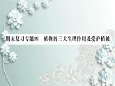 人教版生物七年级上册 期末复习专题四 植物的三大生理作用及爱护植被 课件