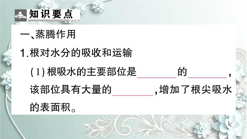 人教版生物七年级上册 期末复习专题四 植物的三大生理作用及爱护植被 课件02