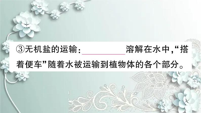 人教版生物七年级上册 期末复习专题四 植物的三大生理作用及爱护植被 课件05