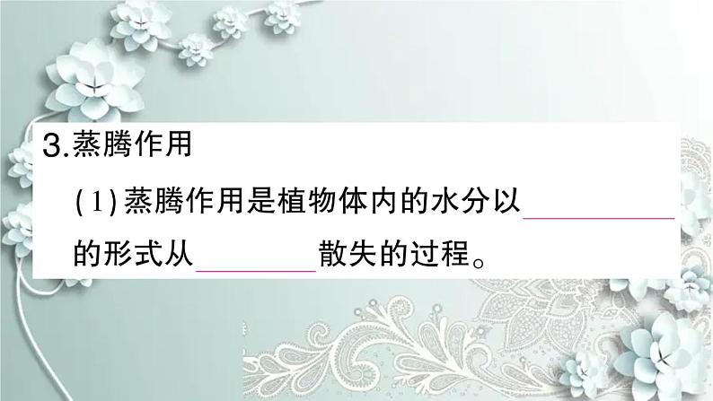 人教版生物七年级上册 期末复习专题四 植物的三大生理作用及爱护植被 课件08