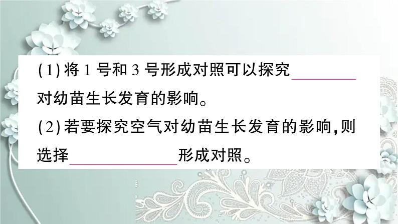 人教版生物七年级上册 第一单元第一、二章总结训练 课件第6页