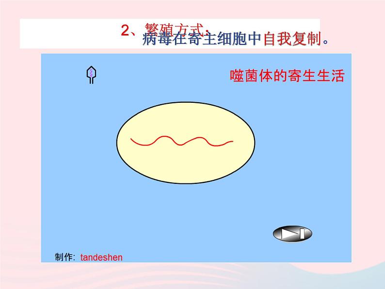 2022人教版八年级生物上册第五章病毒课件08