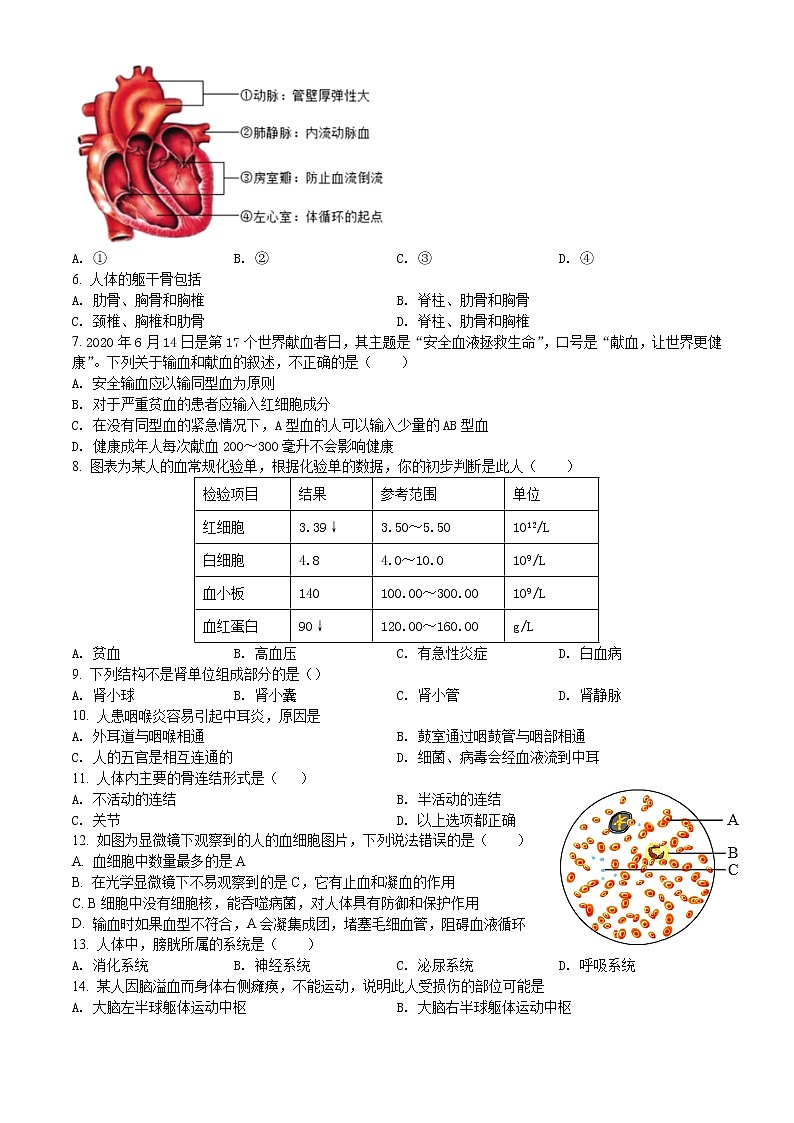苏州市吴江区2021-2022学年八年级上学期期中生物试题（解析版）第2页