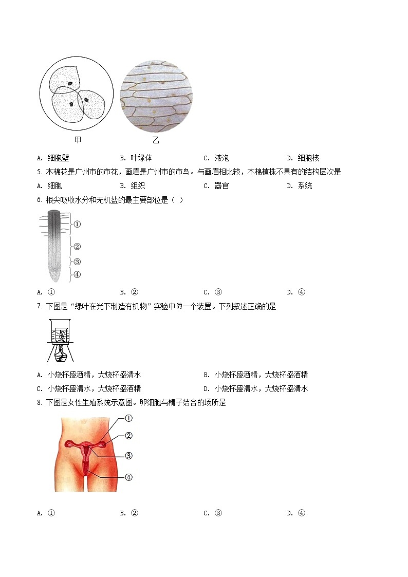 精品解析：2021年广东省广州市中考生物试题02