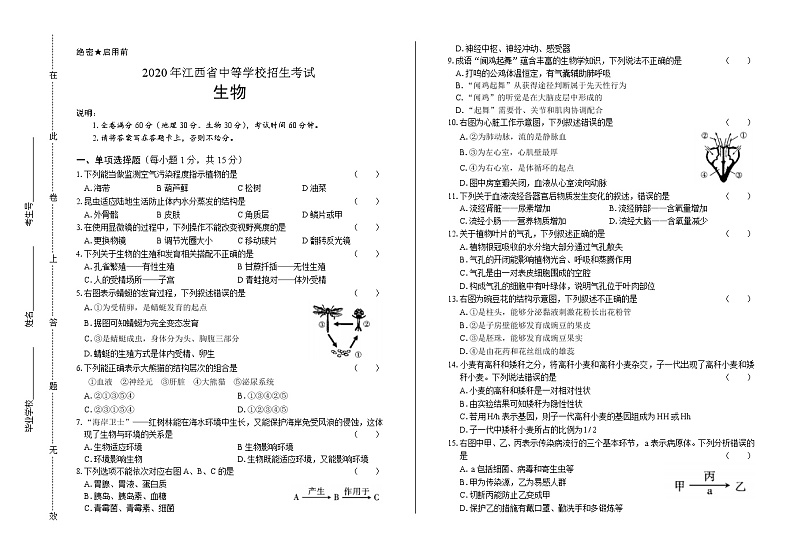 2020年江西省中考生物试卷含答案Word版01