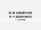 人教版八年级生物下册课件 第七单元 第二章 第一节 基因控制生物的性状