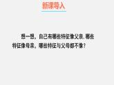 人教版八年级生物下册课件 第七单元 第二章 第一节 基因控制生物的性状