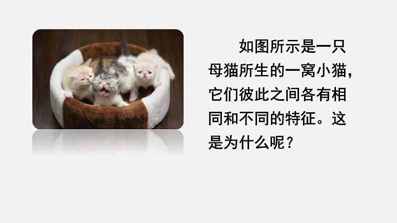 第一节 基因控制生物的性状第3页