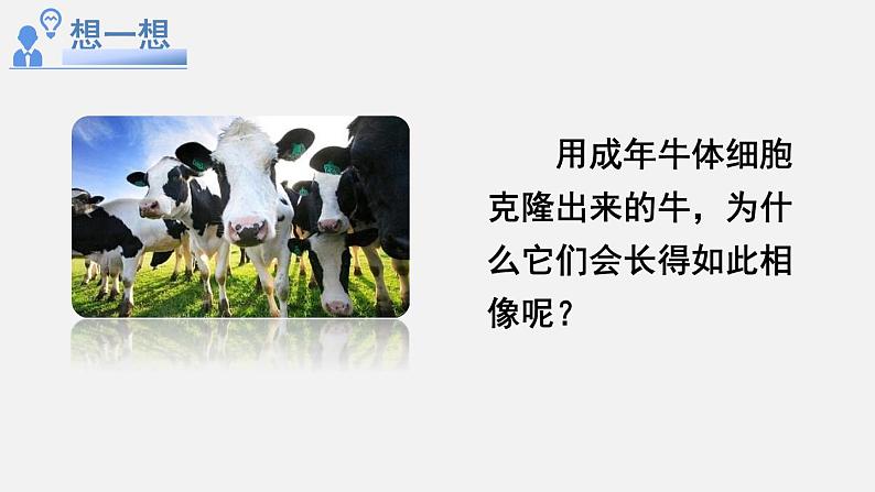 第一节 基因控制生物的性状第4页