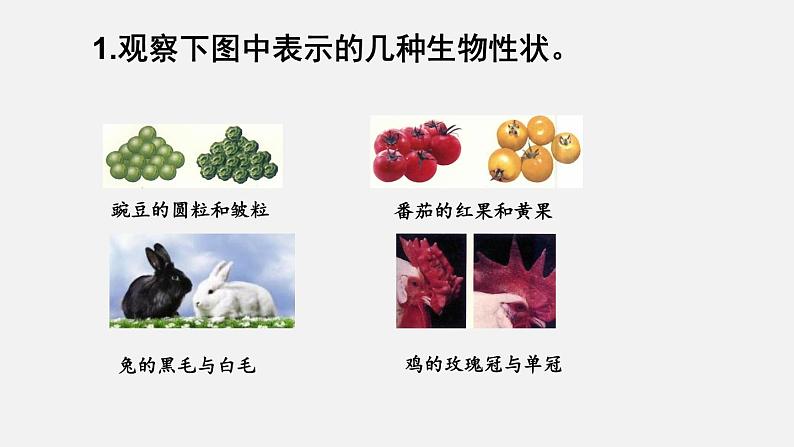 第一节 基因控制生物的性状第7页
