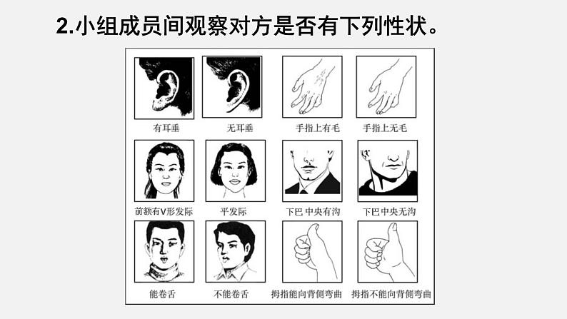第一节 基因控制生物的性状第8页