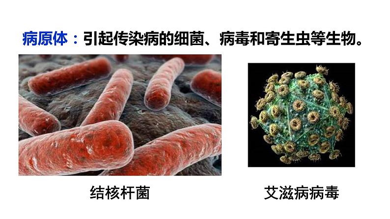 人教版八年级生物下册课件 第八单元 第一章 第一节 传染病及其预防第5页