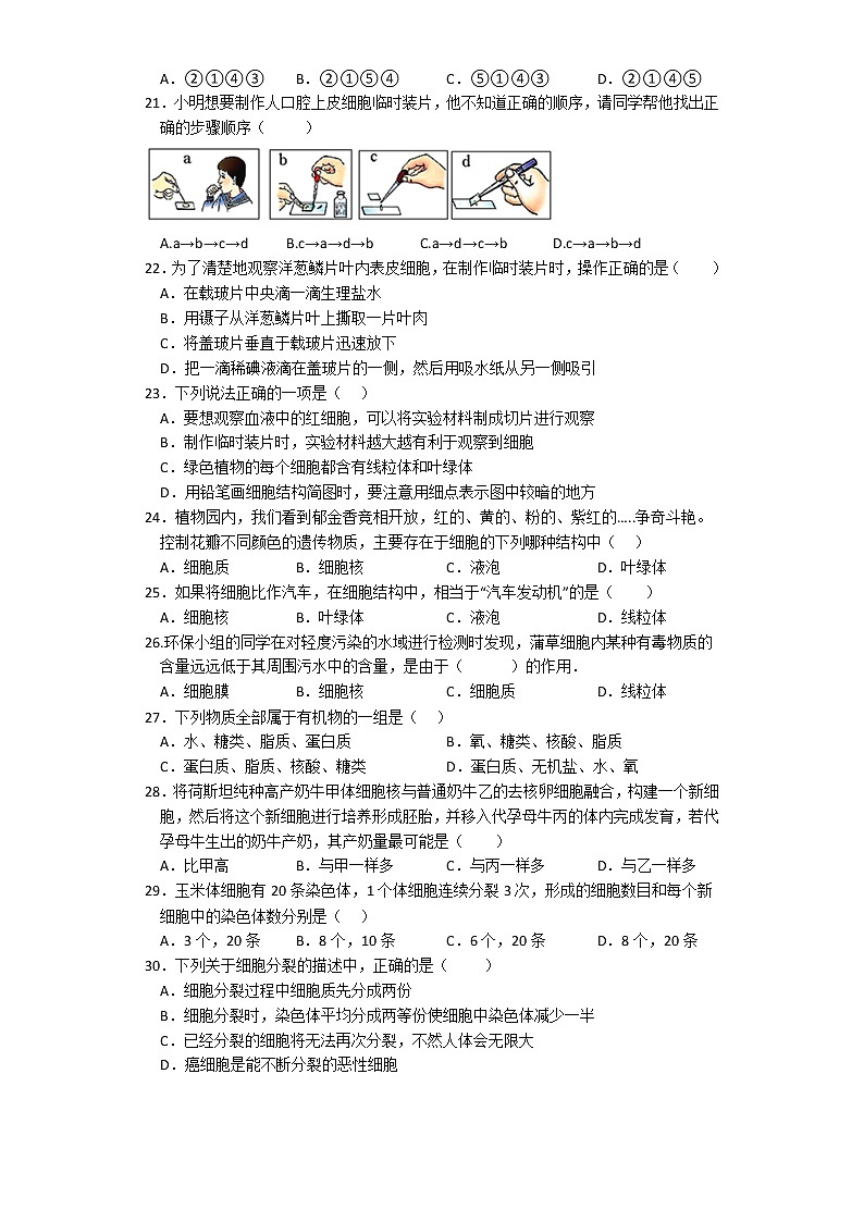 广东省东莞市常平镇2022-2023学年七年级上学期生物期中镇统考试卷(含答案)第3页