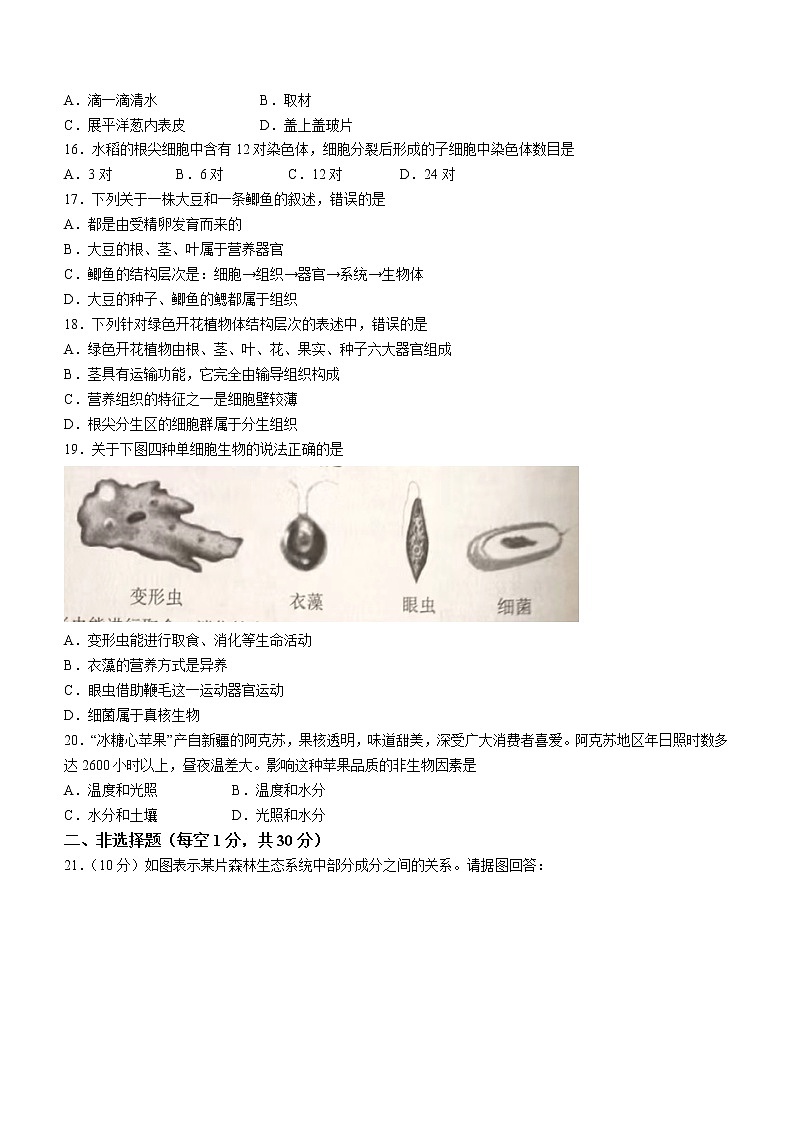 河南省南阳市南召县2022-2023学年七年级上学期期中生物试题(含答案)03